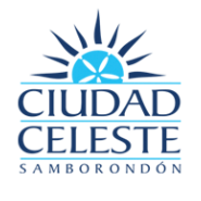 logo ciudad celeste
